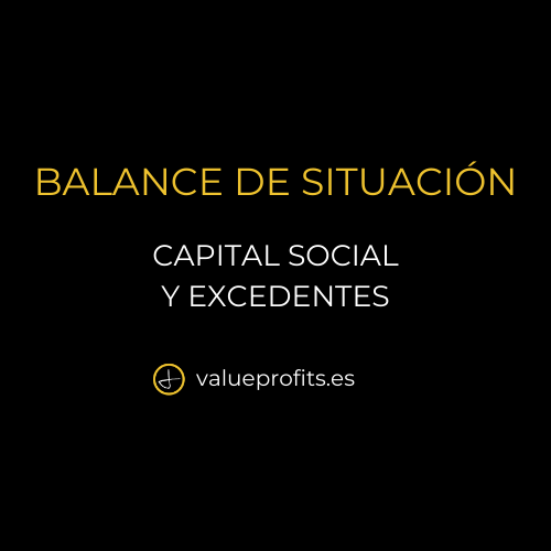 Capital Social y Excedentes en el balance de situación
